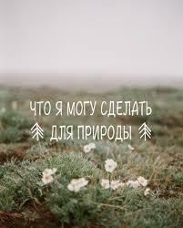 Береги Камчатку_007